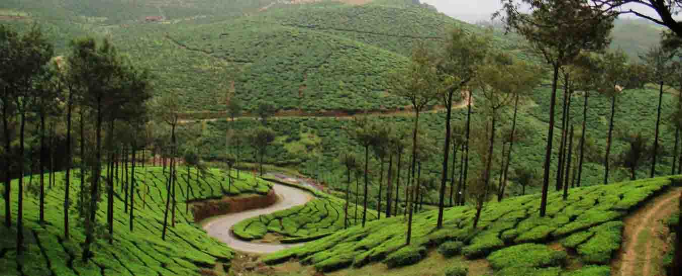 Kerala honeymoon packages from Sri Lanka