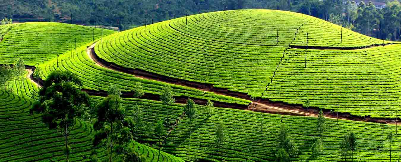 Kerala honeymoon packages from visakhapatnam