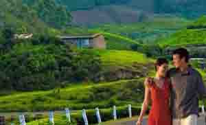 Munnar Honeymoon Packages