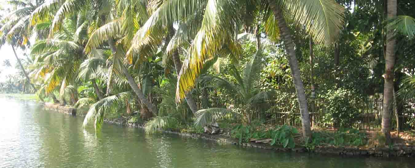 kerala tour from Guntur