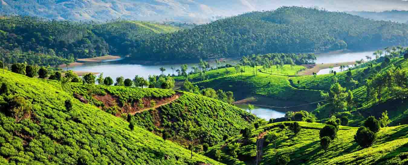 munnar tour package